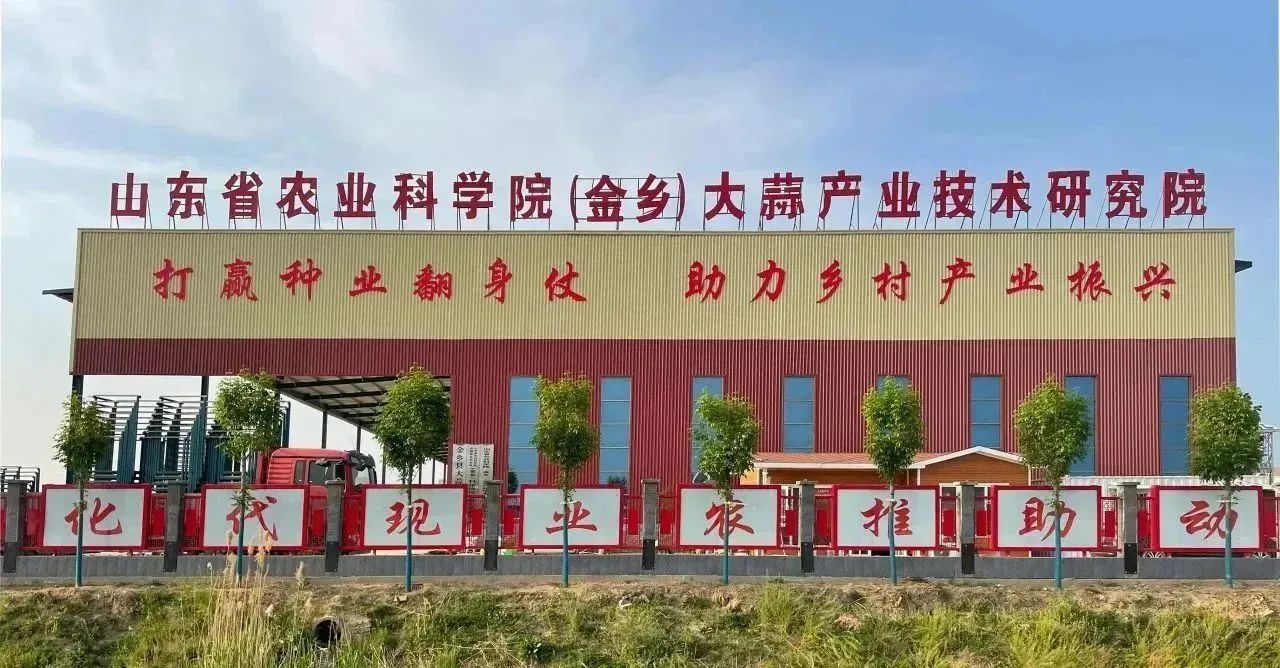 新老結(jié)對(duì)傳幫帶，凝心聚力譜新篇