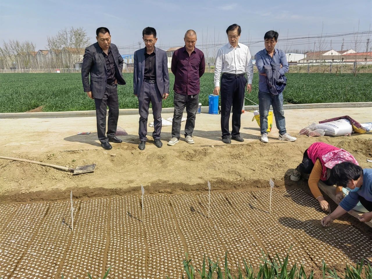 金春雨科技與市質(zhì)檢院攜手推進黃河流域棉花試點項目工作